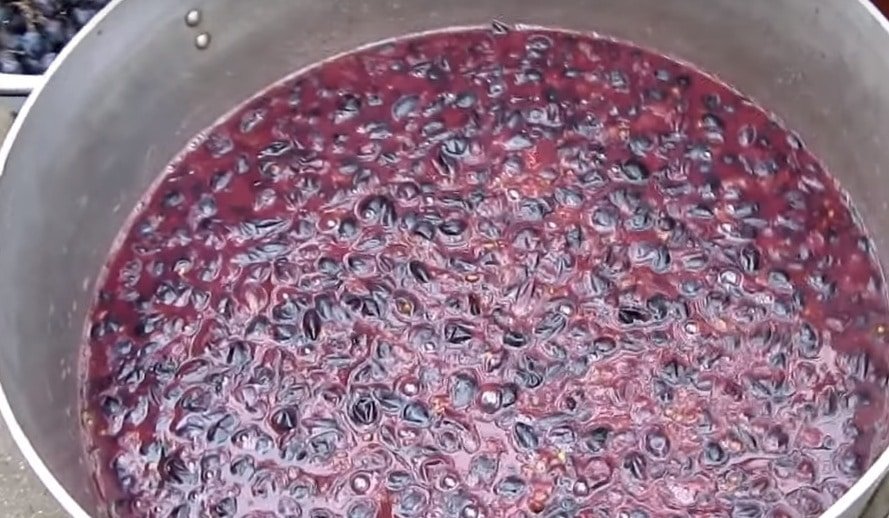 Изготовление виноградной браги для самогона
