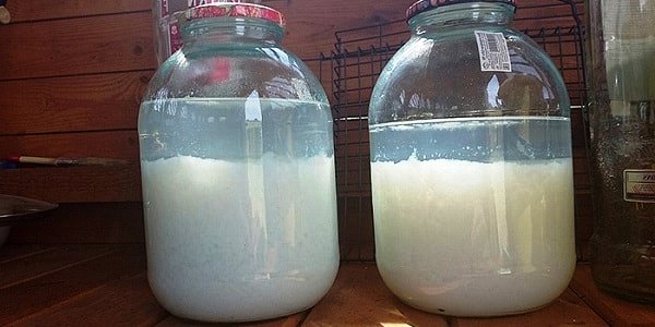Правильная очистка самогона молоком в домашних условиях