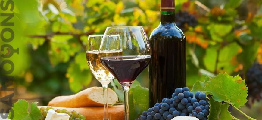 Домашнее вино и винограда