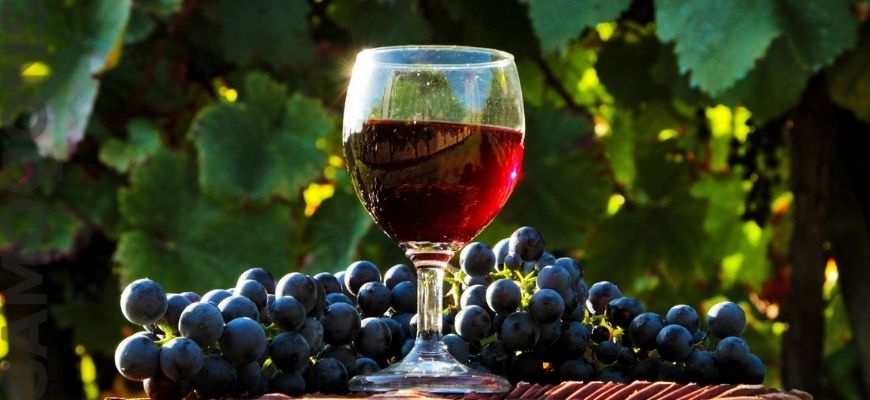 Домашнее вино из кислого винограда