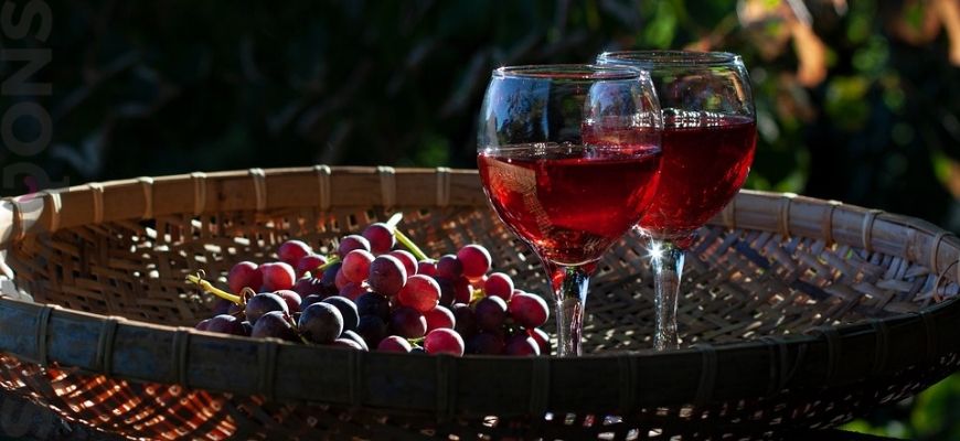 Домашнее вино из красного винограда