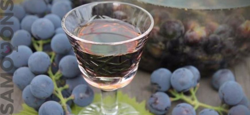 Вино из виноградного жмыха