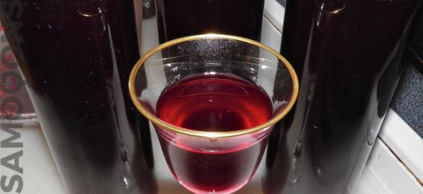 Технология приготовления сливового вина в домашних условиях