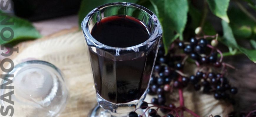 Вино из черноплодной рябины без воды