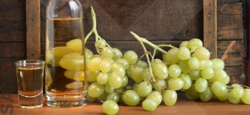 Чача из винограда в домашних условиях – грузинский рецепт