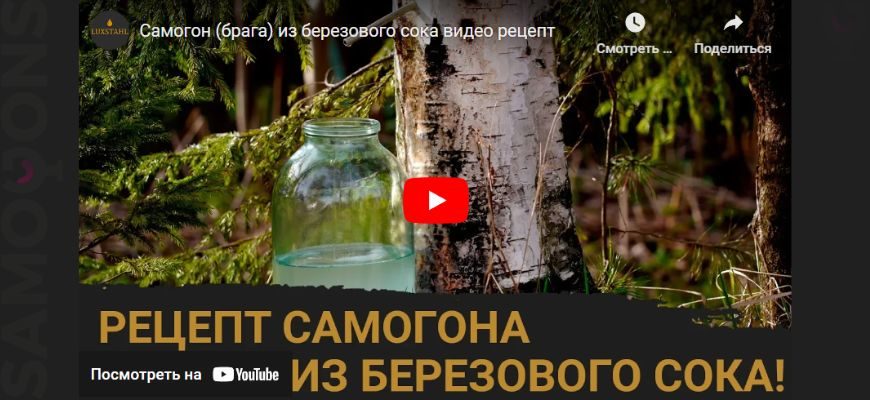 Рецепт самогон и браги на березовом соке